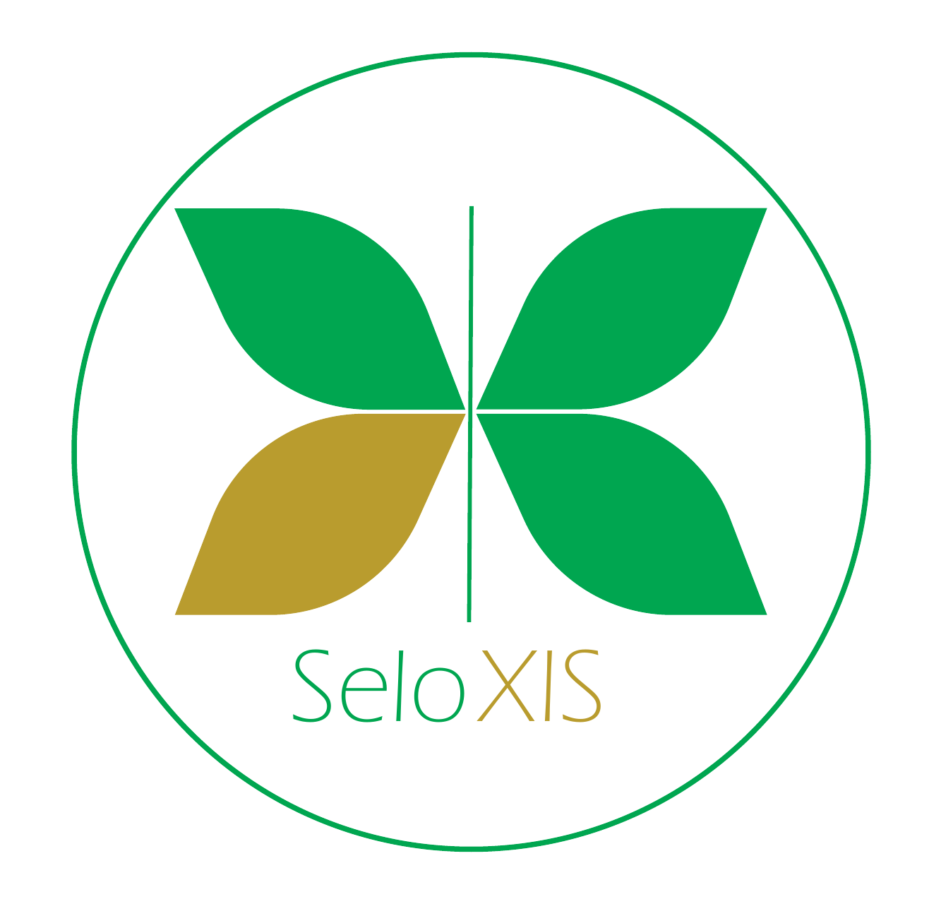 Logo Seloxis