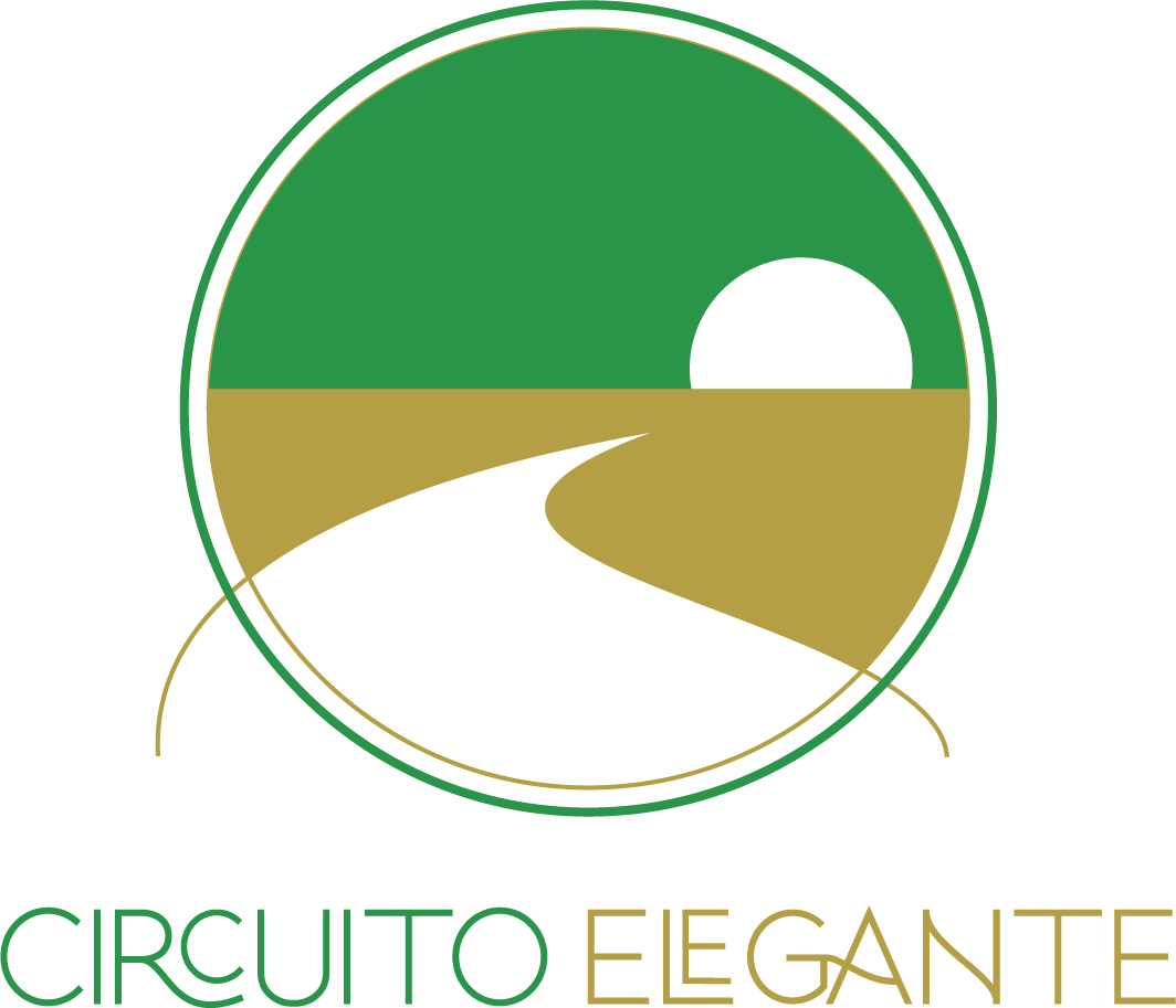 Logo Circuito Elegante